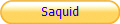 Saquid